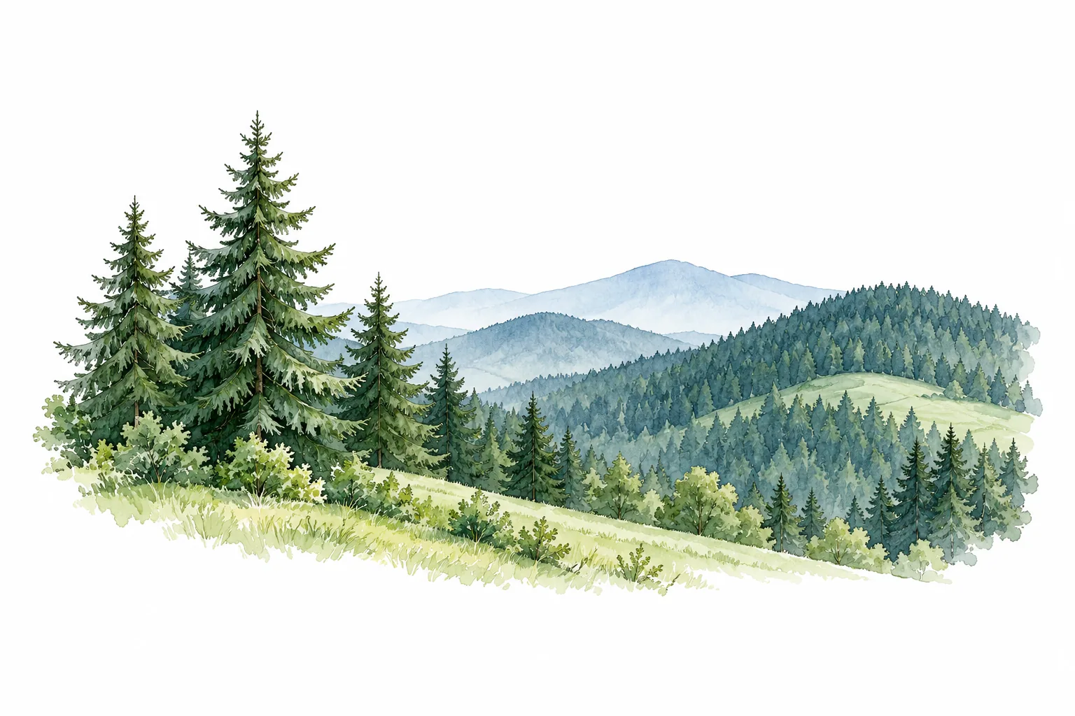 Zwei sanfte Hügel und wenige Tannen in gedämpftem Blaugrau und Grün.