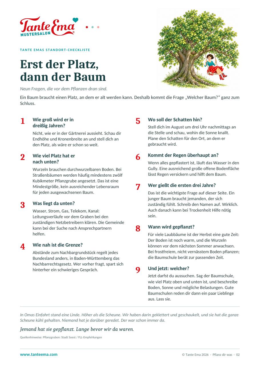 Vorschau: Erst der Platz. Dann der Baum.
